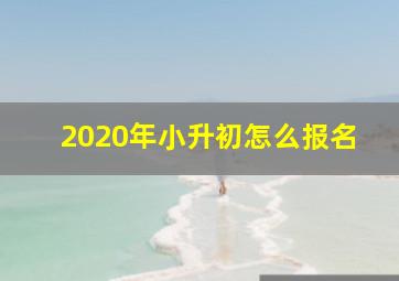 2020年小升初怎么报名