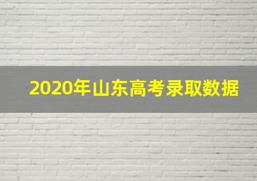 2020年山东高考录取数据