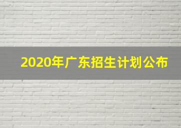 2020年广东招生计划公布