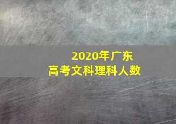 2020年广东高考文科理科人数