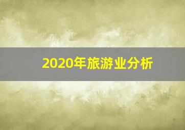 2020年旅游业分析