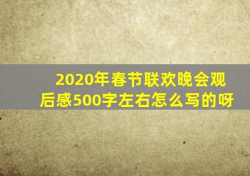 2020年春节联欢晚会观后感500字左右怎么写的呀