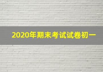 2020年期末考试试卷初一