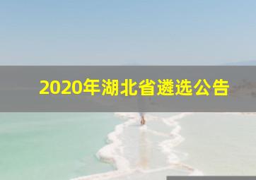 2020年湖北省遴选公告