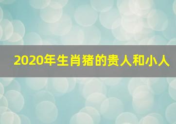 2020年生肖猪的贵人和小人