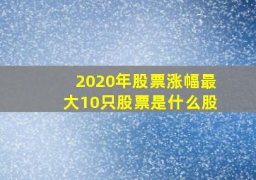 2020年股票涨幅最大10只股票是什么股