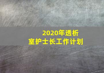 2020年透析室护士长工作计划