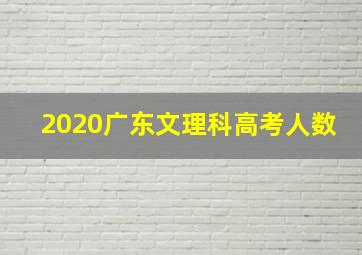 2020广东文理科高考人数