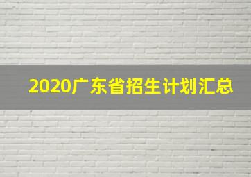 2020广东省招生计划汇总