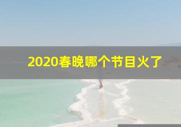 2020春晚哪个节目火了