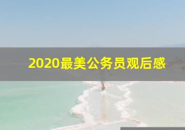 2020最美公务员观后感