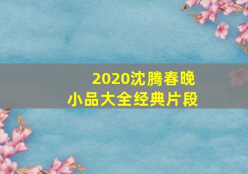 2020沈腾春晚小品大全经典片段