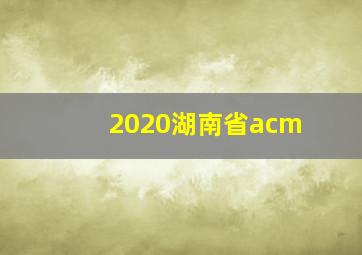 2020湖南省acm