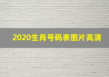 2020生肖号码表图片高清