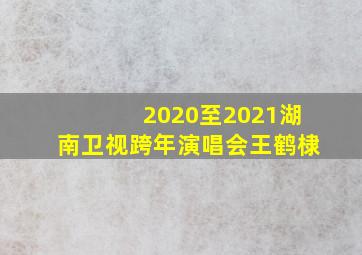 2020至2021湖南卫视跨年演唱会王鹤棣