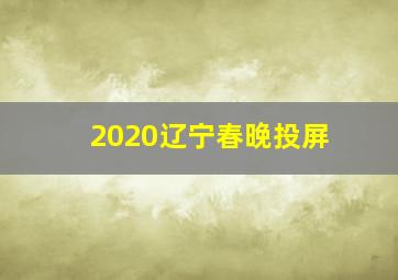 2020辽宁春晚投屏