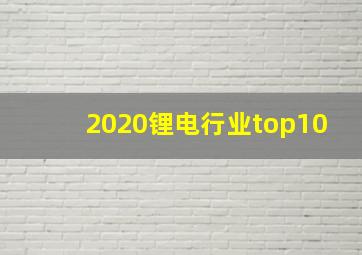 2020锂电行业top10