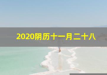 2020阴历十一月二十八