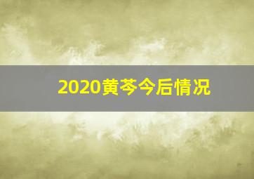 2020黄芩今后情况