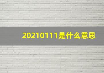 20210111是什么意思