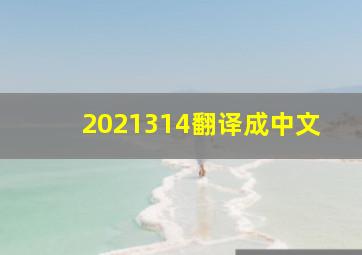 2021314翻译成中文