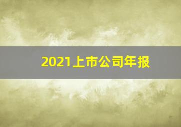 2021上市公司年报