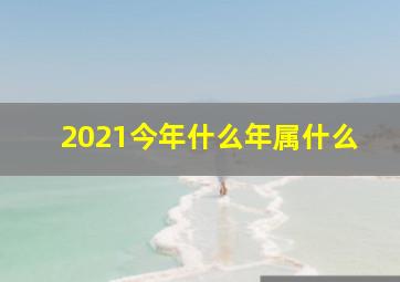 2021今年什么年属什么