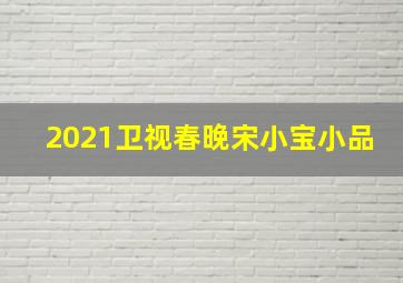 2021卫视春晚宋小宝小品