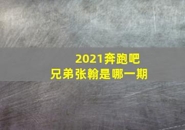 2021奔跑吧兄弟张翰是哪一期