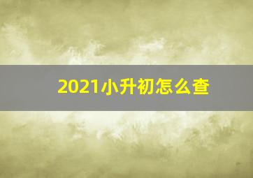 2021小升初怎么查