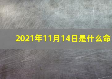 2021年11月14日是什么命