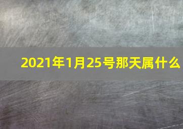 2021年1月25号那天属什么