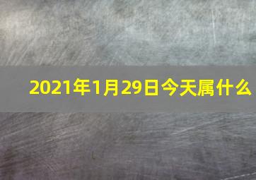 2021年1月29日今天属什么