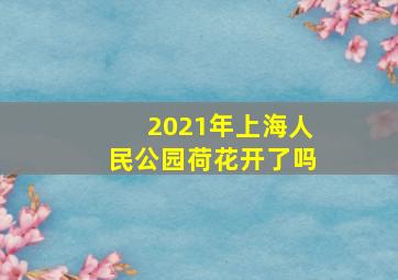 2021年上海人民公园荷花开了吗