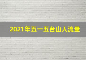 2021年五一五台山人流量