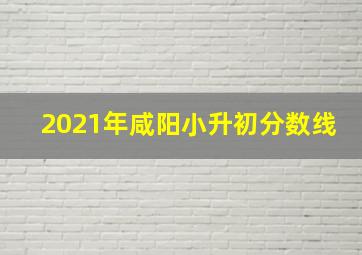 2021年咸阳小升初分数线