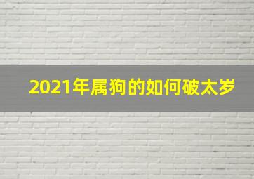 2021年属狗的如何破太岁