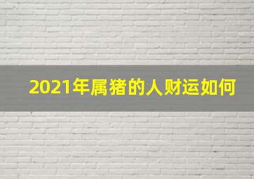 2021年属猪的人财运如何