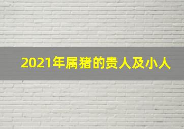 2021年属猪的贵人及小人