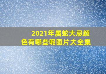 2021年属蛇大忌颜色有哪些呢图片大全集