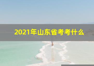 2021年山东省考考什么