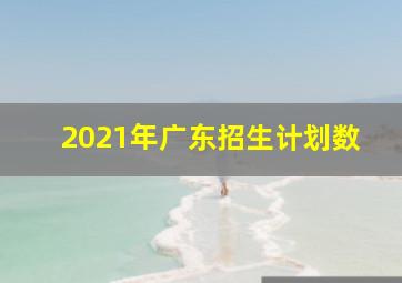 2021年广东招生计划数