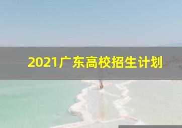 2021广东高校招生计划