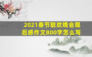 2021春节联欢晚会观后感作文800字怎么写