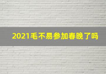 2021毛不易参加春晚了吗