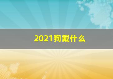 2021狗戴什么