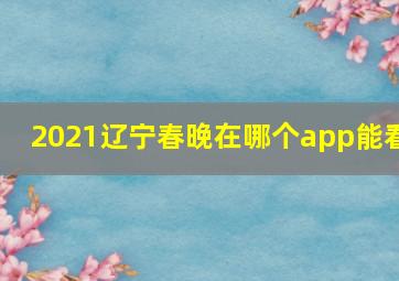 2021辽宁春晚在哪个app能看