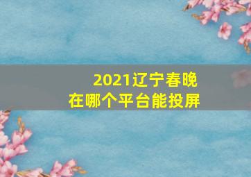 2021辽宁春晚在哪个平台能投屏