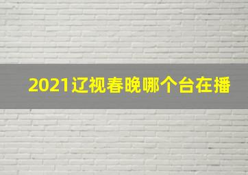 2021辽视春晚哪个台在播