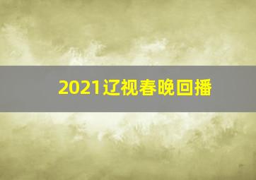 2021辽视春晚回播